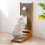 Thickened Vertical Cat Scratcher, Durable Indoor Cat Scratching Post 2