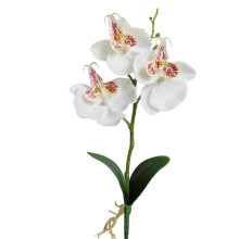 Sztuczny kwiat orchidei motylkowej, potrójna główka, 25 cm, biały