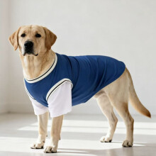 Camiseta transpirable de malla con bloques de color para perros y gatos.