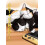 Cat Gamer Volume 6 by Zack Davisson Paperback Book 1