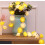 Rosenfe-lyskæde – USB-drevet, 20 LED'er, 3 m 1