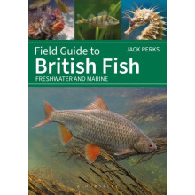 Field Guide to British Fish by Jack Perks Paperback Book