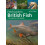 Field Guide to British Fish by Jack Perks Paperback Book 1