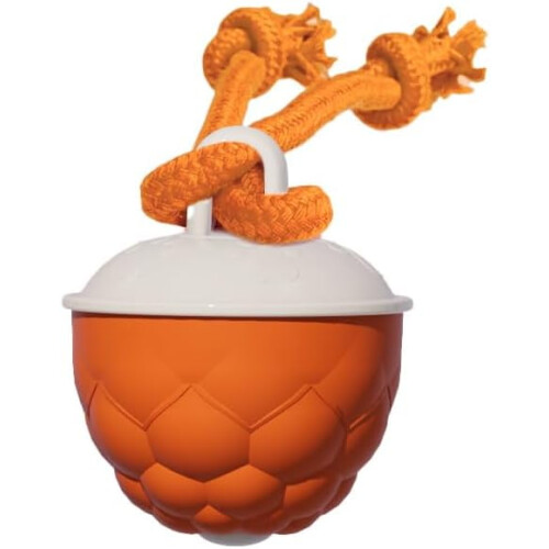 Balle jouet couineuse Power Tail 2.0 activée par le mouvement