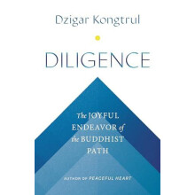 Diligence by Jennifer Shippee Paperback Book