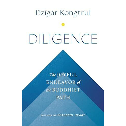 Diligence by Jennifer Shippee Paperback Book