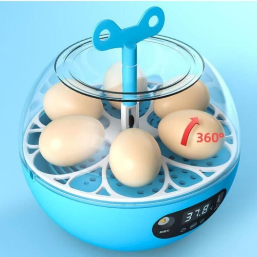 Egg incubator, automatic egg incubator for 6 eggs, small poultry hatches with automatic control of the 1