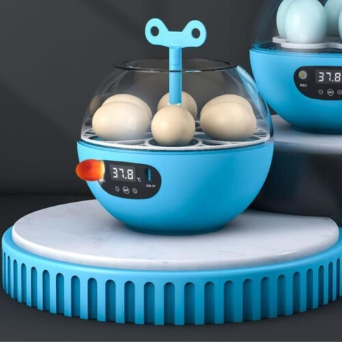 Egg incubator, automatic egg incubator for 6 eggs, small poultry hatches with automatic control of the 2