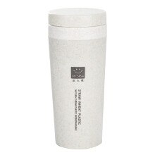 Isolerad resemugg i rostfritt stål, 450 ml