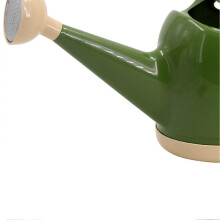 Annaffiatoio in plastica da 4 litri con irrigatore rimovibile per piante da interno ed esterno, ideale per giardino.