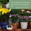 Smart Irrigation Controller with Timer, Remote Management via App, 60-Day Battery, Custom Schedules for Indoor Garden 5