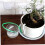 Automatic Drip Irrigation Watering Rope String for Potted Plants Indoor Green 5 Pack 5