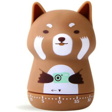 Mechanický odpočítavací časovač Orange Fox s náťahom, 60 minút