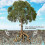 Weed Control Mat for Trees 70cm Durable Mulch Ring Membrane Fabric Barrier Silver 2