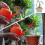Universal Watering Can Nozzle Replacement, Green Plastic Garden Watering Tool with Multiple Spray Patterns for Plants 5