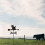 Weather Vane with Rust-Resistant Coating, Stainless Steel Wind Direction Indicator for Garden Stake 3
