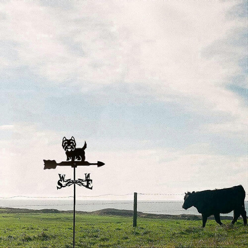 Weather Vane with Rust-Resistant Coating, Stainless Steel Wind Direction Indicator for Garden Stake 2