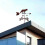 Weather Vane Metal Wild Fox Garden Ornament Rust Proof Wind Direction Indicator 3