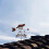 Weather Vane Metal Wild Fox Garden Ornament Rust Proof Wind Direction Indicator 4