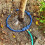 Polystyrene Tree Watering Hoop for Direct Root Irrigation in Gardens & Pots 4