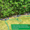 Polystyrene Tree Watering Hoop for Direct Root Irrigation in Gardens & Pots 5