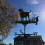 Decorative Wind Vane for Garden, Stainless Steel Weathervane, Rust-Resistant 5