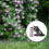 DN25 Drip Irrigation Water Filter 120 Mesh 130 Micron with Pressure Regulator 4