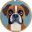 Punch Needle Set Cartoon Boxer Hond 20x20cm 1