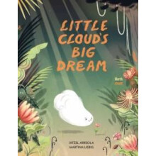 Little Clouds Big Dream by Martina Liebig Hardcover Book