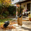 Handheld Sweeper Gasoline Powered Lawn Sweeper Lawn Cleaning Sweeping Machine 2