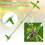 Manual Weeding Tool Long Handle with 3 Claws for Standing Weeding and Root Removal 4