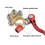 Brass Battery Terminal Connectors Quick Release Disconnect for Automotive Use 3