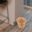 Woven Wicker Trash Basket – Light Yellow, 28.5 x 26 cm 3