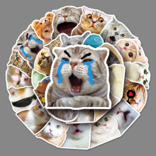 100 lustige Katzen-Meme-Aufkleber, wasserfestes Vinyl