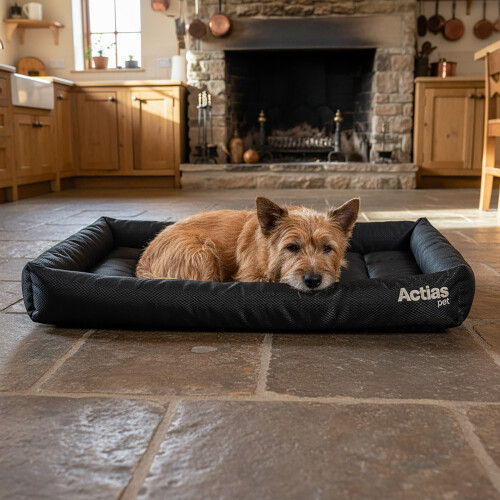 Actiaspet Black Waterproof Dog Crate Bed Large 1