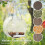 Window Bird Feeder with Suction Cup Round Clear 3