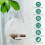 Window Bird Feeder with Suction Cup Round Clear 4