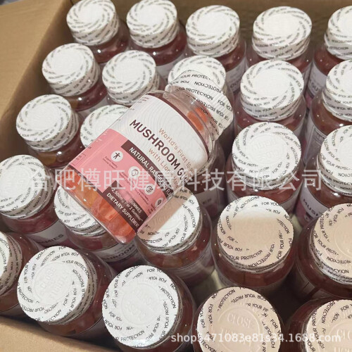 Brain Booster Focus Memory Improvement Mushroom gummies 2