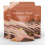 Mushroom Chicory Coffee matcha reishi coffee 3