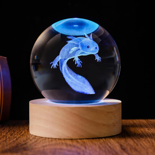 Luminária de mesa em forma de axolote, em vidro, com base de madeira, 60 mm