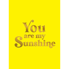 You Are My Sunshine by Summersdale Publishers Hardcover Book