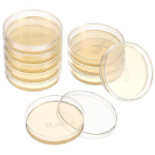 Placas de Petri con agar nutritivo de 70 mm (10 unidades)