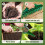 2-piece sowing tool set: seed drill, seed spreader, perforating and loosening rake + sowing tool 4