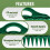 2-piece sowing tool set: seed drill, seed spreader, perforating and loosening rake + sowing tool 5