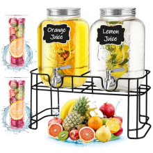 Glass Drink Dispenser with Stand Ice Core 2-Pack