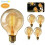 Lâmpada vintage Edison Globe E27 - Zoomdo - Branco Quente 40W - Pacote com 4 1