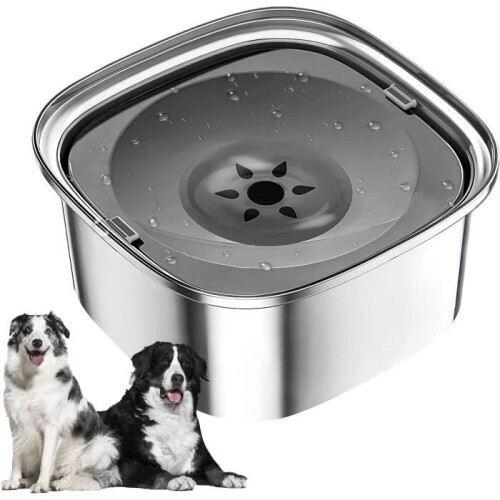 Vandskål - LEYTN - 3L - Rustfrit stål - Anti-spild - Flydende til hunde