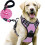 Dog Harness - No Name - Size M - Anti-Pull - Reflective - 1.5M Leash 1