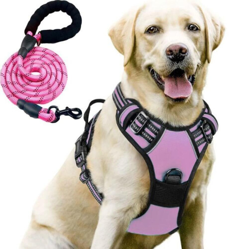 Arnés para perro - Sin marca - Talla M - Antitirones - Reflectante - Correa de 1,5 m