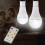 Solar Powered 9W LED Bulb with Remote Control, 350LM Bright, USB & Solar Charging for Camping 2
